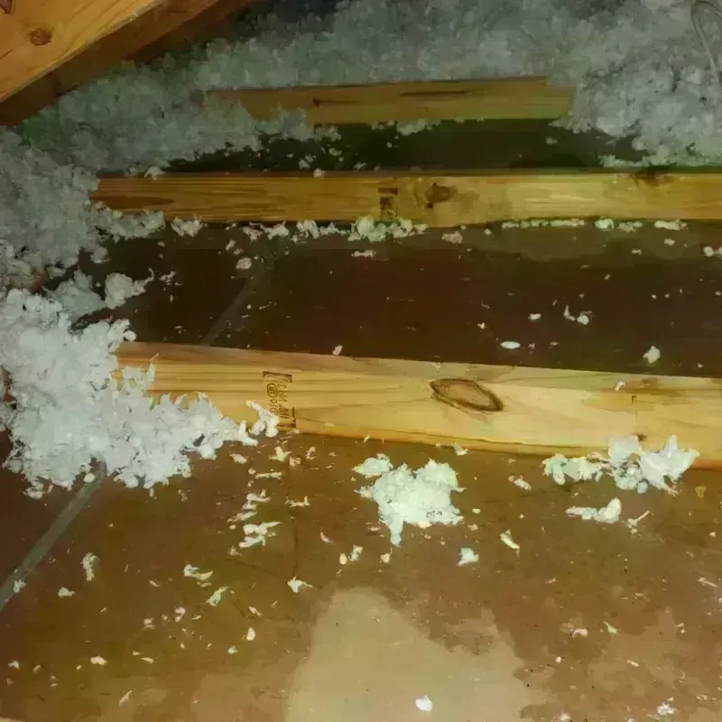 Attic Water Damage in San Pablo, CA