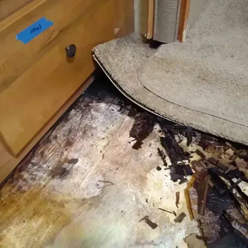 Wood Floor Water Damage in San Pablo, CA